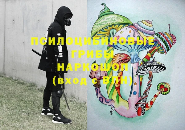 крисы Осинники
