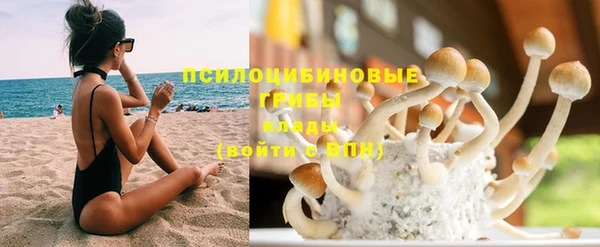 крисы Осинники